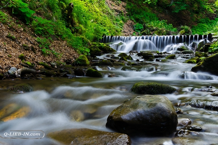 "Под лежачий камень- вода не течет"